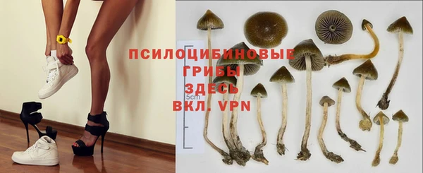 наркотики Горняк